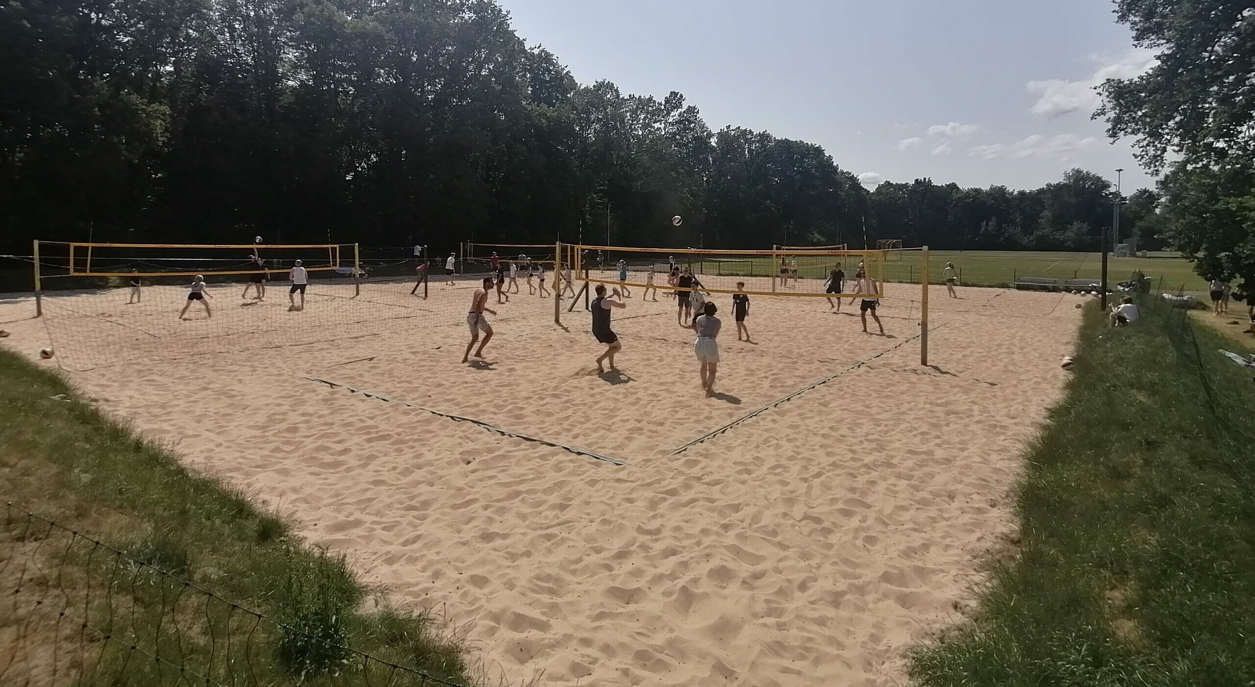 beachvolleyball-unter-der-eiche